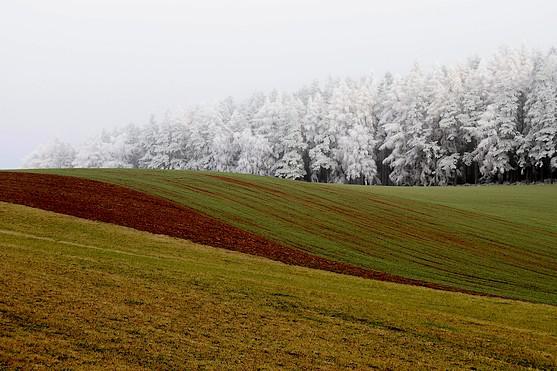 Broumovsko na fotografiích Dagmar Dušánkové